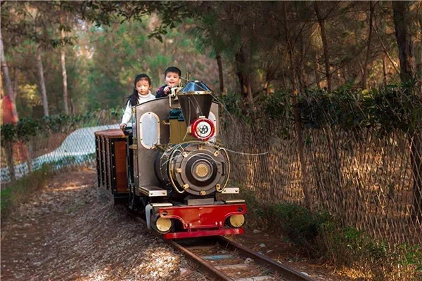 mini track train city park