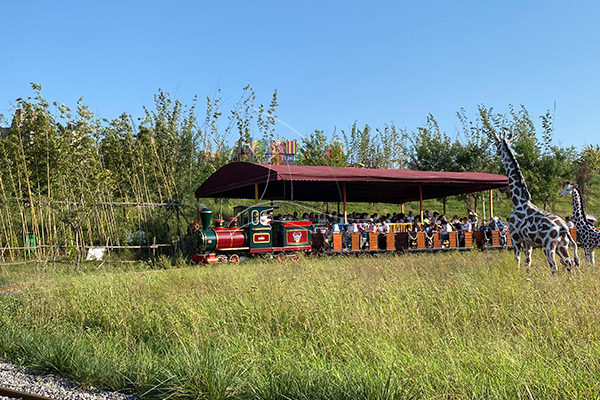 garden sightseeing train