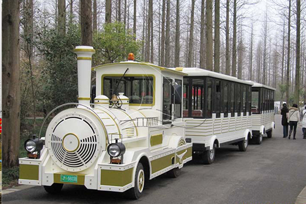 sightseeing electric train for parks