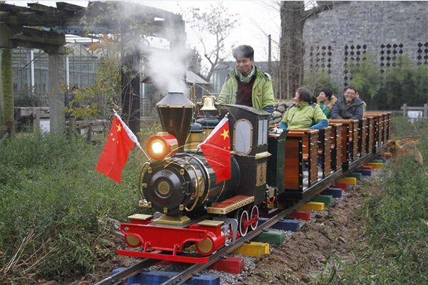 small backyard sightseeing train rides