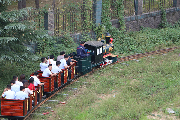 small backyard train price