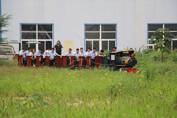 small track train for backyard