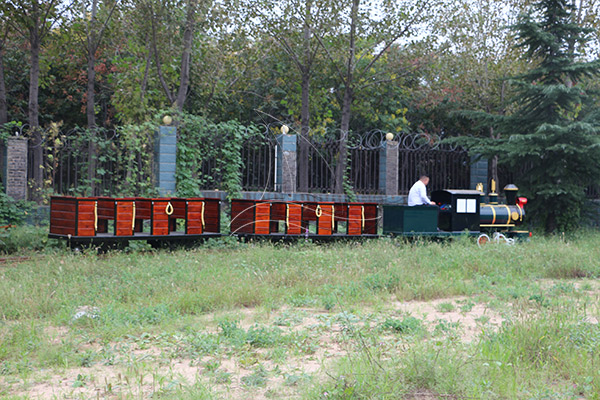 small rail train open car