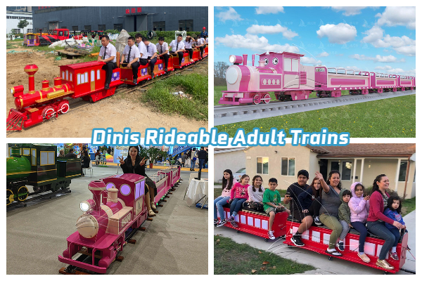 adult ride on trains for sale from Dinis Supplier