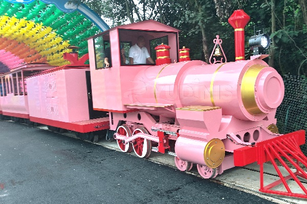 36-seat track train ride for park