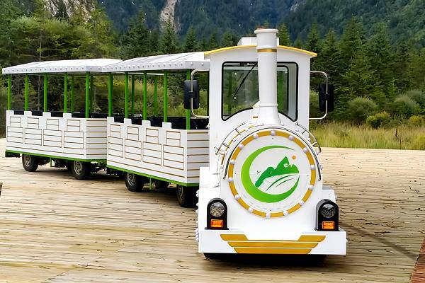 40 people diesel trackless train for resorts